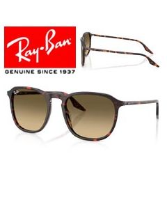 2x Patillas Recambio Originales > Ray-Ban 2203