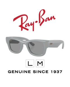 Gafas de Sol Originales > Ray-Ban 4940 · Puffer 6876/1