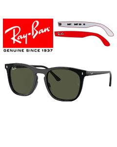 2x Patillas Recambio Originales > Ray-Ban 2210