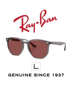 Gafas de Sol Originales > Ray-Ban 4306 · 6873/75